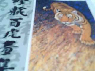 王廣亞珍藏百虎畫集