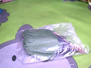 DIY勞作
