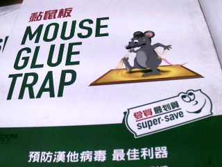 黏鼠板
