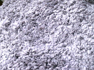 浴室止滑吸水墊