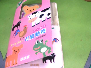 拼圖書
