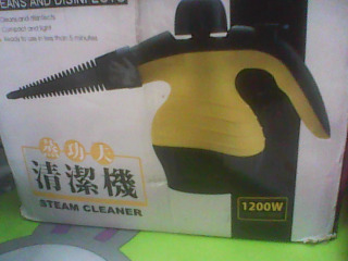 蒸氣清潔機