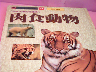 童書-肉食動物