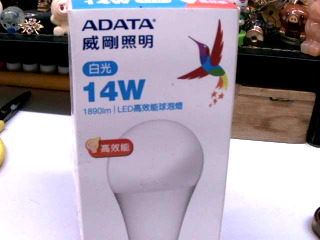 LED燈泡