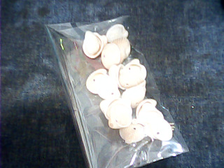 手做材料鑽孔貝殼