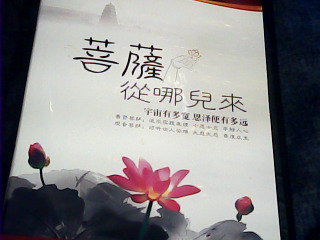 DVD菩薩從哪兒來