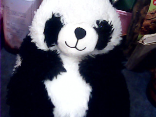 熊貓娃娃