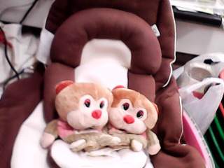 嬰兒汽座坐墊組