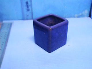 盆栽