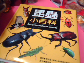 童書