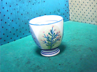 杯