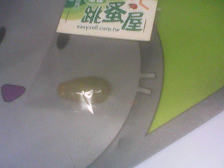 墜子