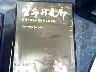 DVD 生命的走廊