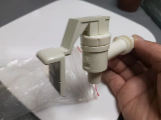 頭