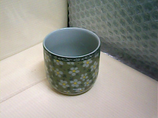 杯