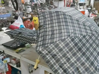 雨傘