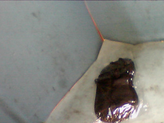 眼罩