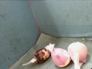 擺飾