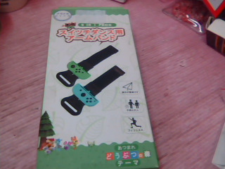 switch腕帶