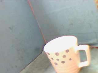 杯
