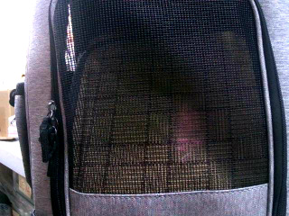 可擴充款寵物背包