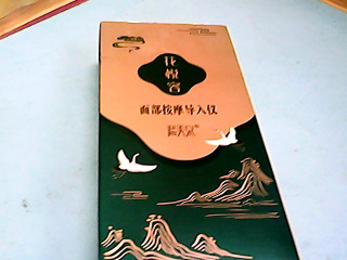 導入儀