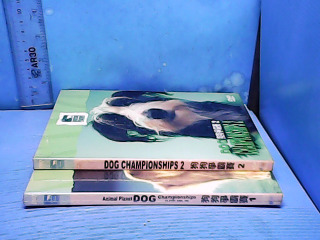 DVD DOG