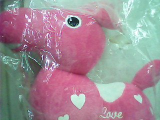 娃娃