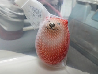 柴犬造型捏捏