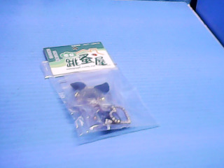 耳環多入