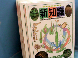 童書
