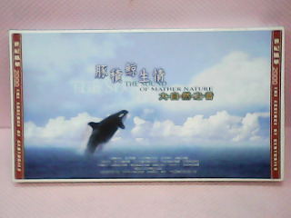 CD片
