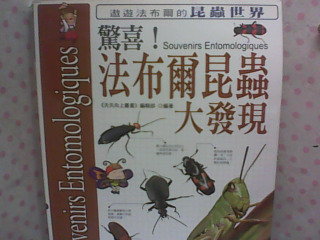 書