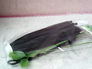 小雨傘