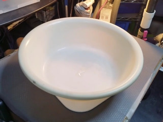 盆