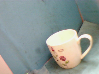 杯