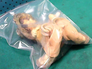 擺飾