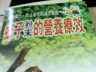 書 峰子