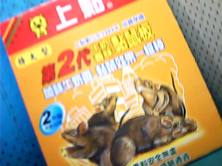 黏鼠板