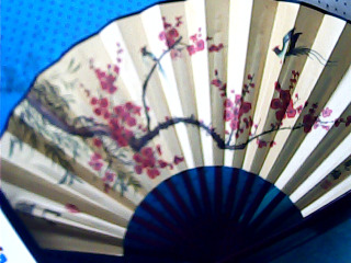 扇子