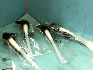 管