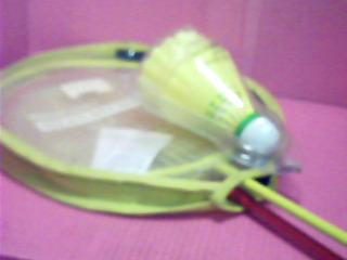 羽球拍加球