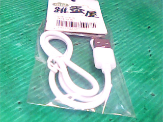 傳輸線