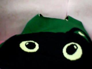 提袋