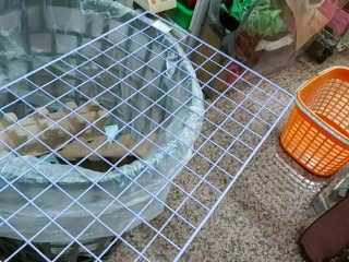 網片
