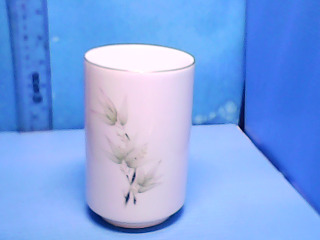 杯