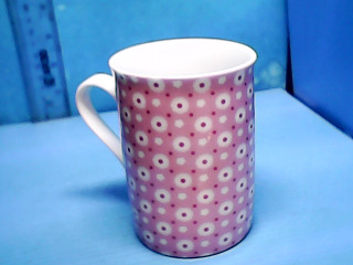 杯