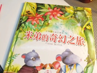 米弟的奇幻冒險