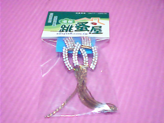耳環