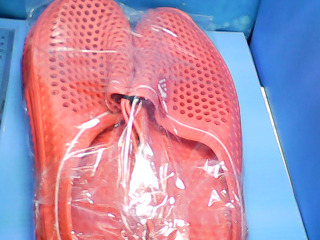 全新拖鞋45(不試穿)